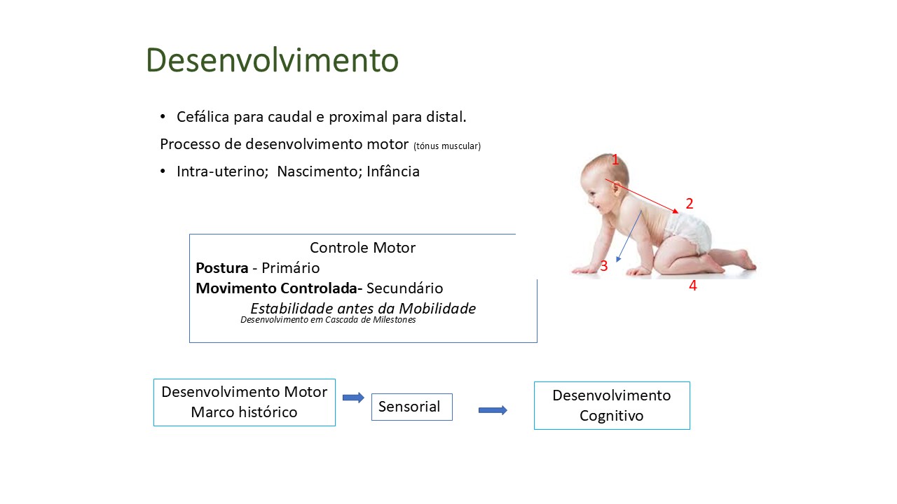 Desenvolvimento- Bruno cunha 2008